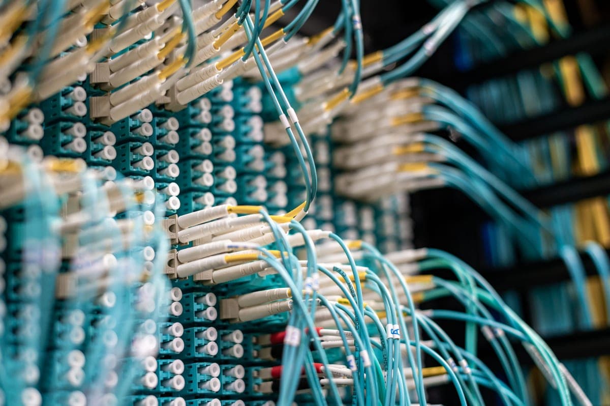 Rows of blue patch cables plugged into a patch panel in a network rack.